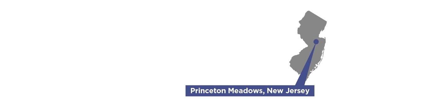 New Jersey_Princeton Meadows.jpg
